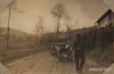 Scène de la vie rurale (La Croix-aux-Mines)