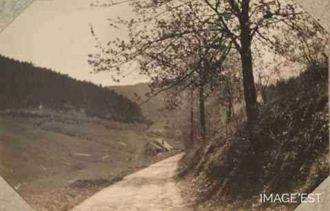 Scierie de Lauterupt (Ban-de-Laveline)