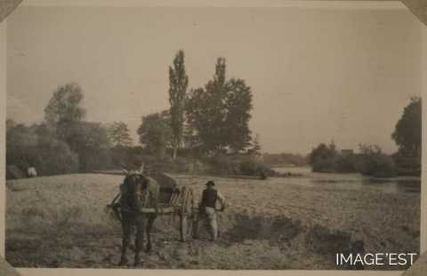 Scène de la vie rurale (Rosières-aux-Salines)