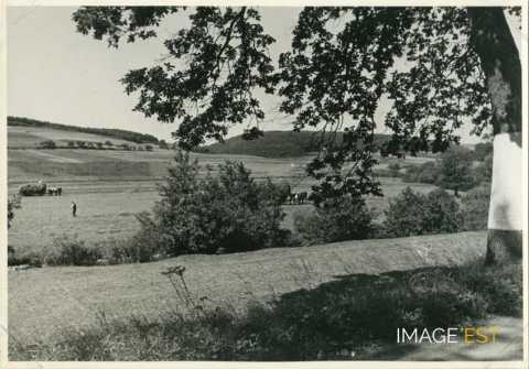 Paysages de la Sarre (Allemagne)