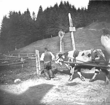 Col du Louchbach (Vosges)