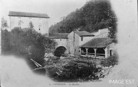 Moulin (Liverdun)