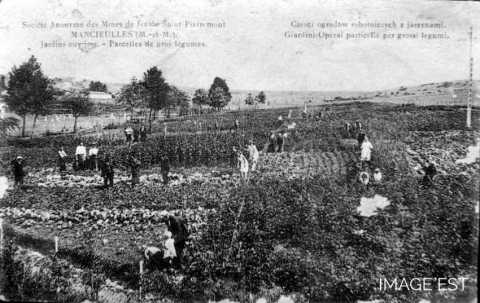 Jardins ouvriers (Mancieulles)