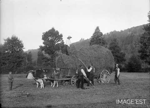 Fenaison (Granges-sur-Vologne)