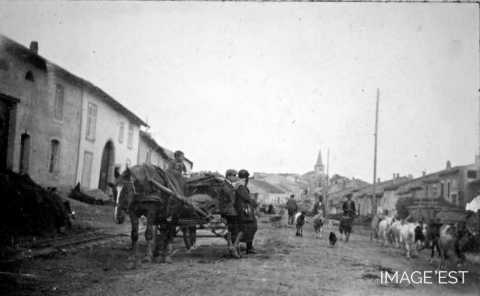 Marchand de légumes (Chambrey)