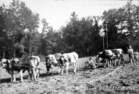 Labours (Moriville)