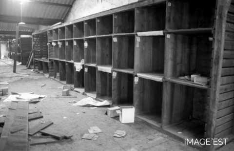 Rayonnage de rangement du magasin (Portieux)