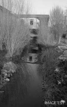 Le ruisseau Rochon ou Mori (Portieux)