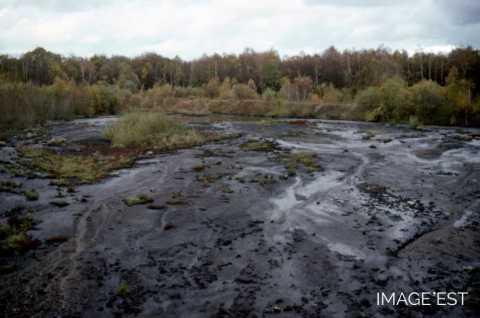 Base du crassier de Longwy (Longwy)