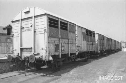 Wagons à bestiaux (Nancy)