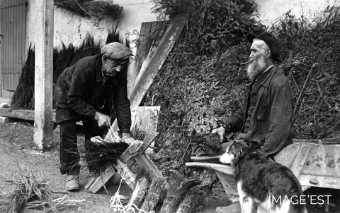 Fabrication de balais (Vosges)
