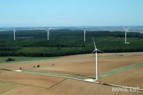 Eoliennes (Amelécourt)