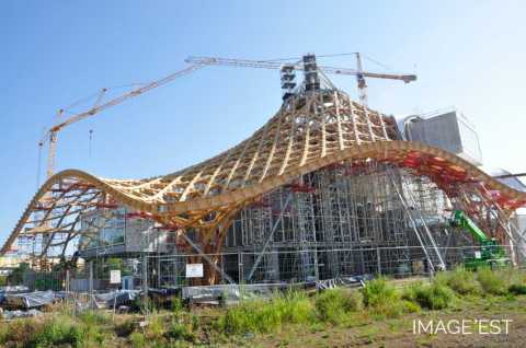 Charpente en bois du Centre Pompidou-Metz (Metz)