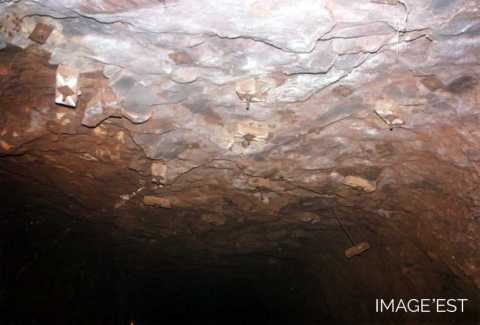 Mine de fer (Mairy-Mainville)
