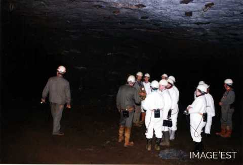 Mine de fer (Bronvaux)
