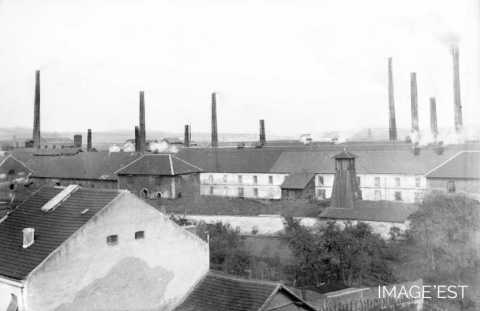 Salines (Dieuze)