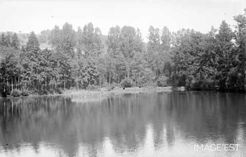 Etang de la Fonderie (Charency-Vezin)