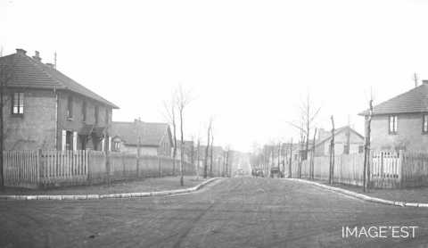 Colonie (Petite-Rosselle)
