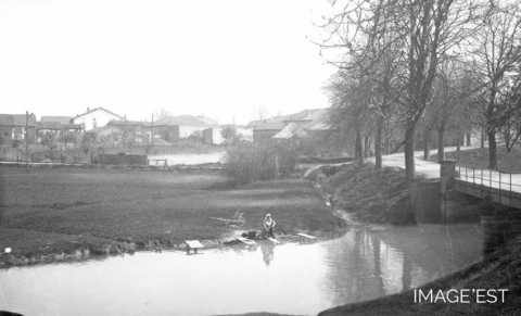 Lavandière (Crévic)