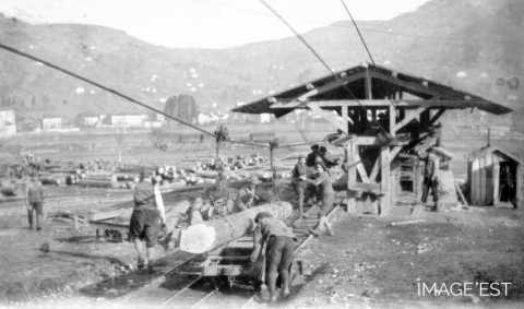 Transport de grumes (Saulxures-sur-Moselotte)