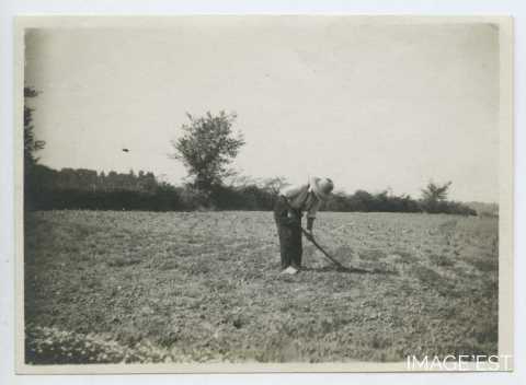 Travail de la terre (Chemillé-Melay)