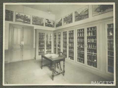 Collections de sciences naturelles (Nancy)