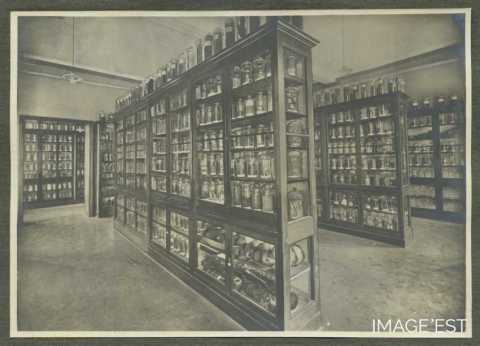 Collections de sciences naturelles (Nancy)