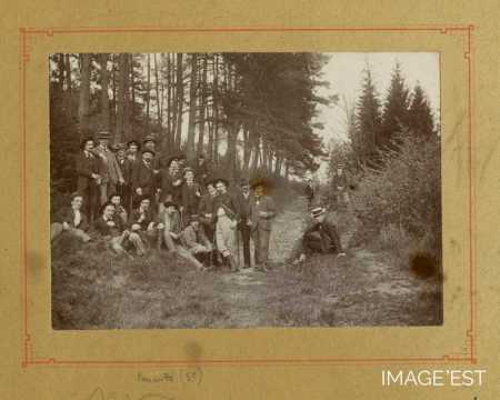 Excursion botanique (Ballon d'Alsace)