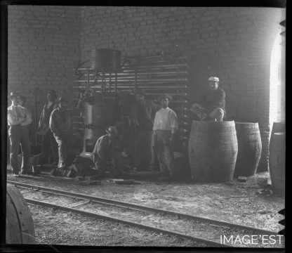 Intérieur d'une cave à vin (Argentine ?)
