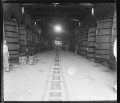 Intérieur d'une cave à vin (Argentine ?)