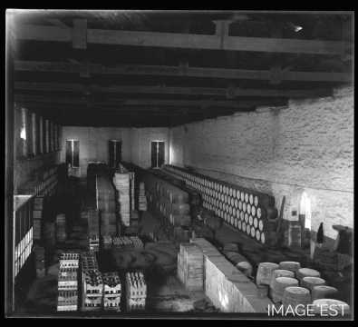 Cave à vin (Mendoza)