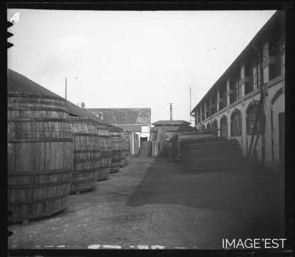 Foudres de la tonnellerie Fruhinsholz (Nancy)