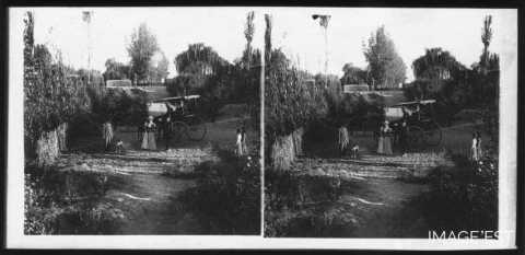 Calèche dans le jardin de la tonnellerie Adolphe Fruhinsholz (Nancy)