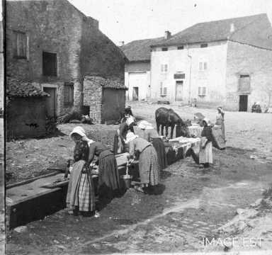 Lavandières (Brin-sur-Seille)