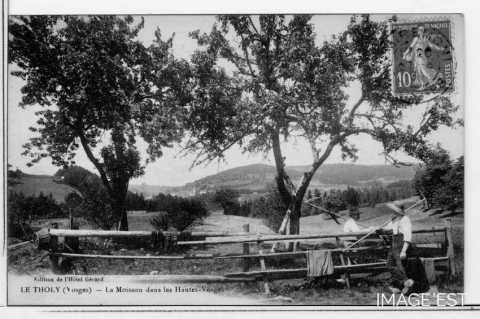La moisson (Le Tholy)