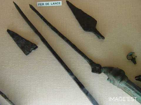 Fers de lance (Grand)