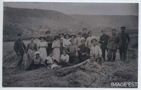 Fenaison (Bayonville-sur-Mad)