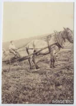 Attelage (Bayonville-sur-Mad)