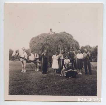Fenaison (Bayonville-sur-Mad)