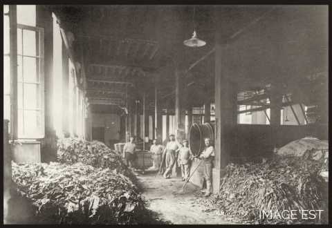 Manufacture des tabacs (Nancy)