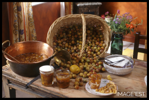 Confitures et paniers de Mirabelles