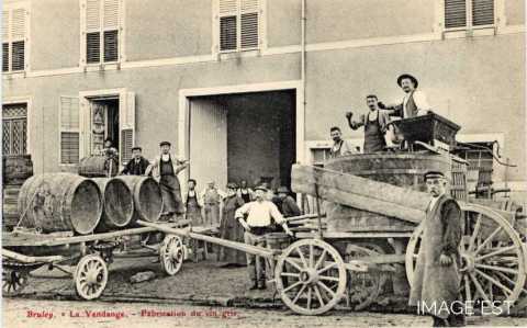 Fabrication du vin gris (Bruley)