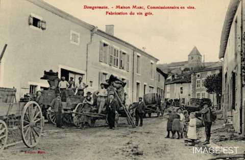 Fabrication du vin gris (Domgermain)