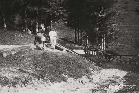 Débardeurs (Vosges)