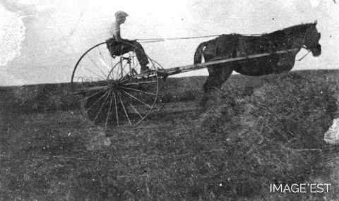 Moisson (Moncourt)
