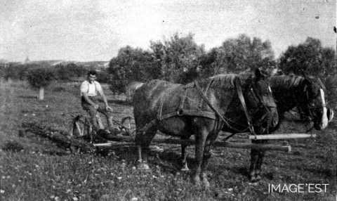 Scène de labour (Moncourt)