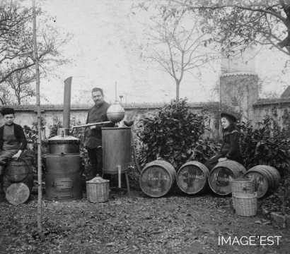 Distillation (Malzéville)