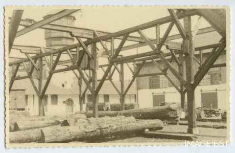 Troncs d'arbres déposés au sein de la tonnellerie Adolphe Fruhinsholz (Nancy)