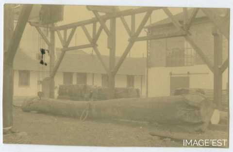 Troncs d'arbres déposés au sein de la tonnellerie Adolphe Fruhinsholz (Nancy)