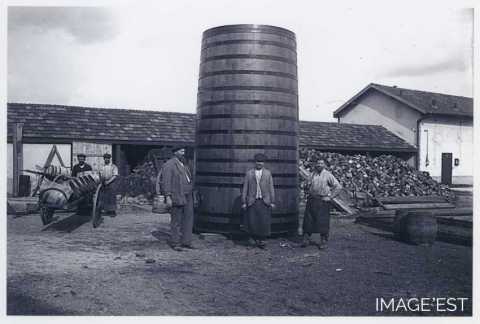 Foudre de la tonnellerie Adolphe Fruhinsholz (Nancy)